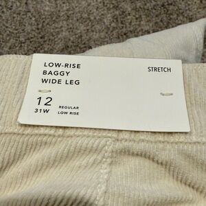 Brand New American Eagle, low rise, baggy, wide leg corduroy pants